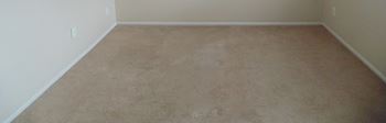 Plush carpeting